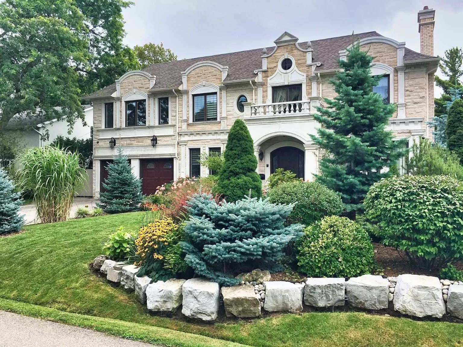 Fast Growing Evergreen Trees Pictures Designs Ideas