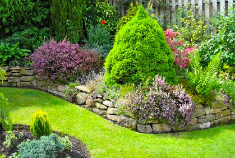 Trends in Landscaping