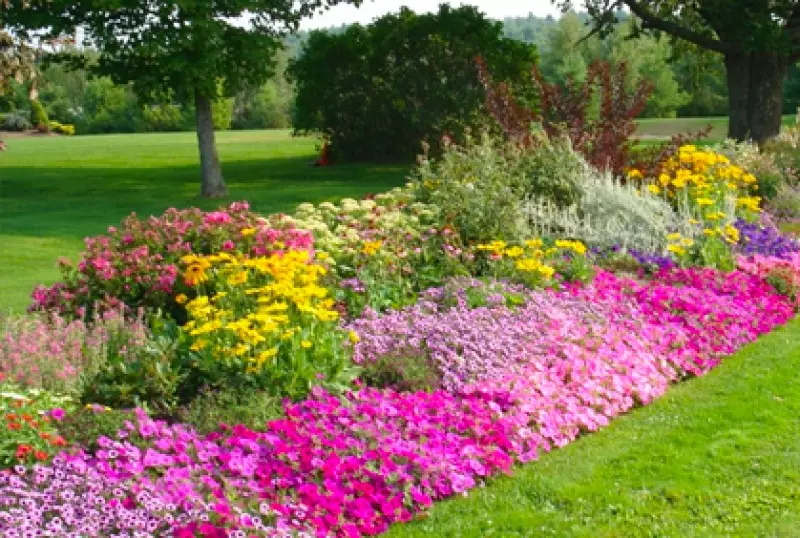 Pictures of Flower Gardens