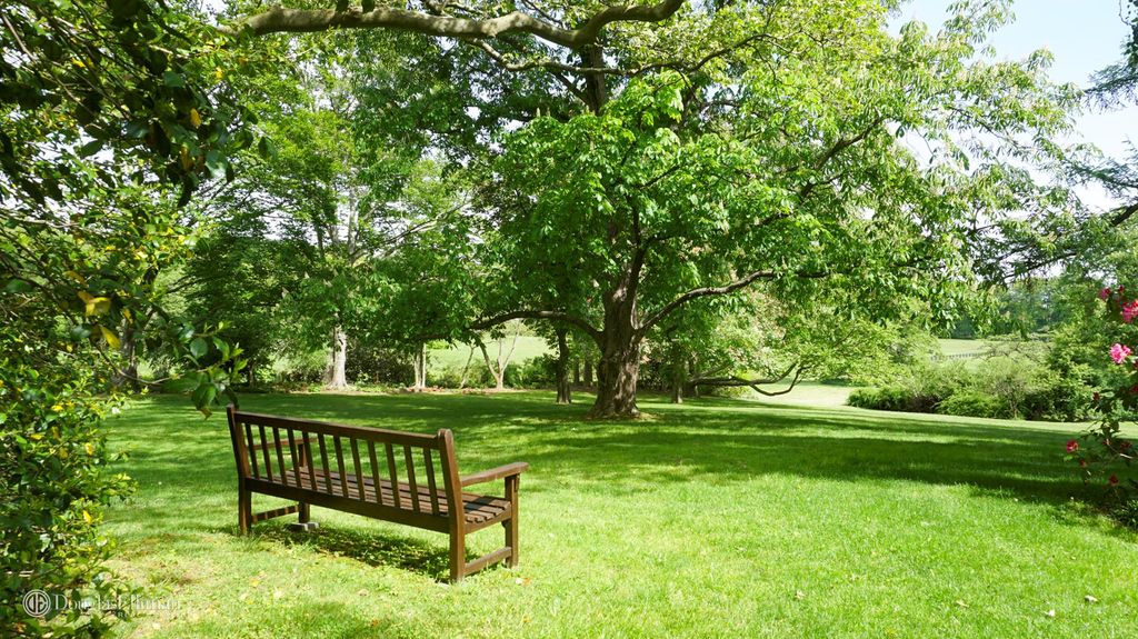 Best Types of Landscaping Trees Designs Ideas Pictures